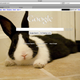 Illustration for article titled Google Homepage Now Allows Custom Backgrounds
